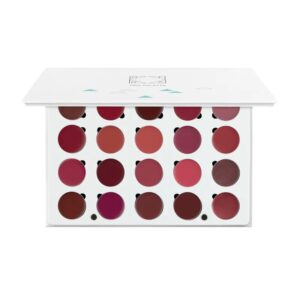 OFRA PRO PALETTE - LIPSTICK اوفرا برو باليت ليب ستك
