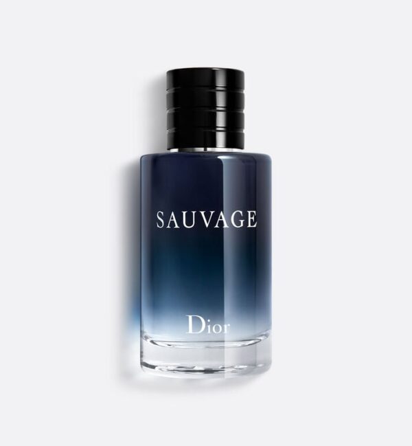 DIOR SAUVAGE eau de toilette 100 ml عطر رجالي