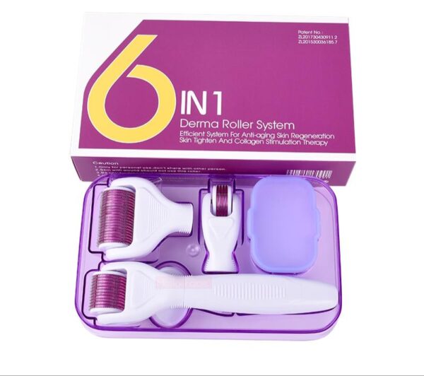 6 IN 1 Derma Roller System For Skin مجموعة ديرما رول 6 في 1