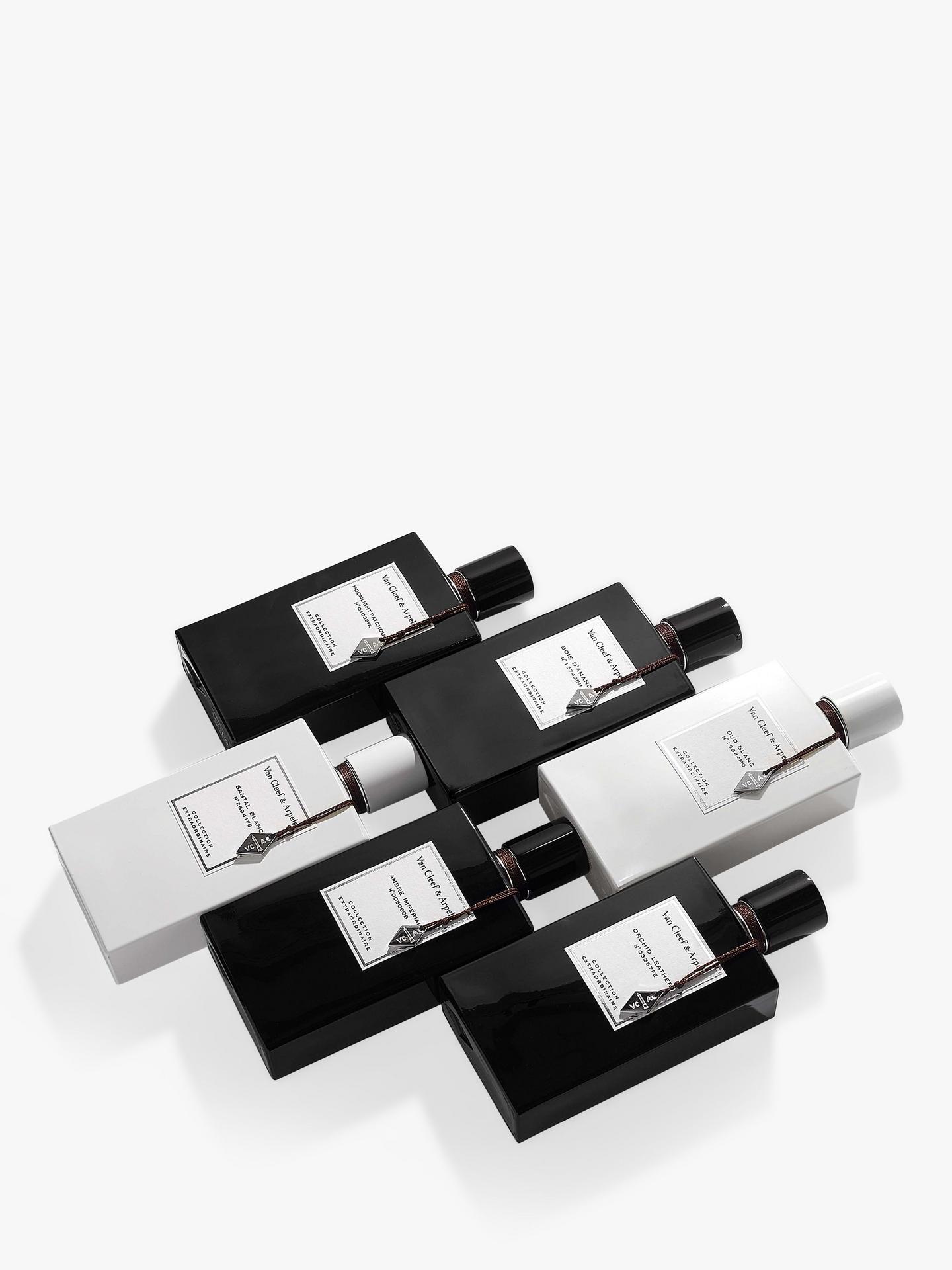 VAN CLEEF & ARPELS Orchid Leather Eau de Parfum 75ml فان كليف اند اربلز اوركيد لذر عطر للجنسين - Image 4