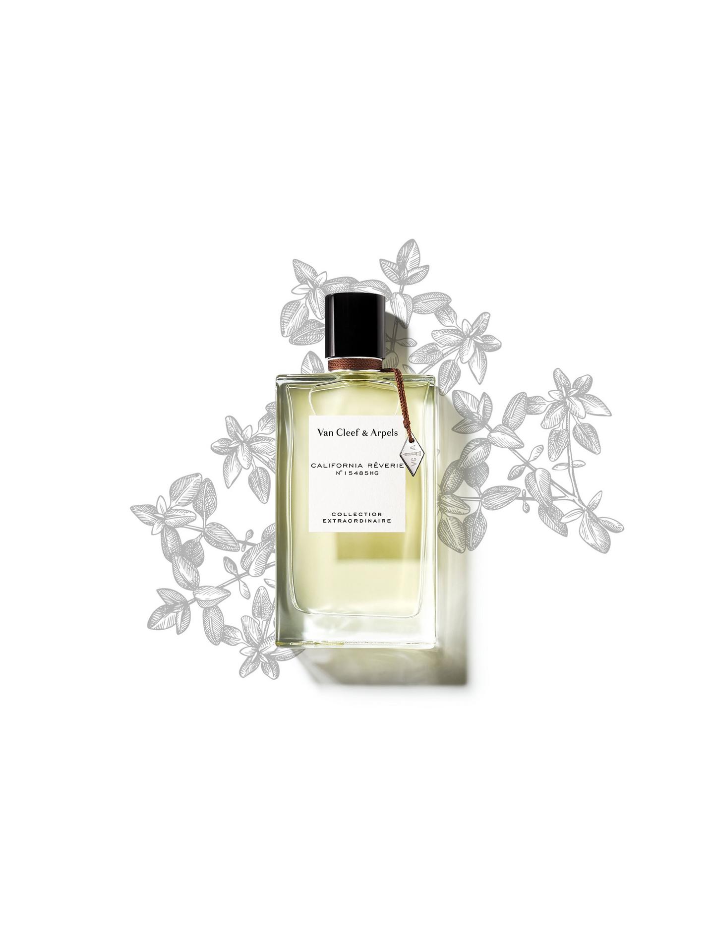 VAN CLEEF & ARPELS California Reverie Women's Eau de perfum 75mlفان كليف عطر للنساء - Image 3