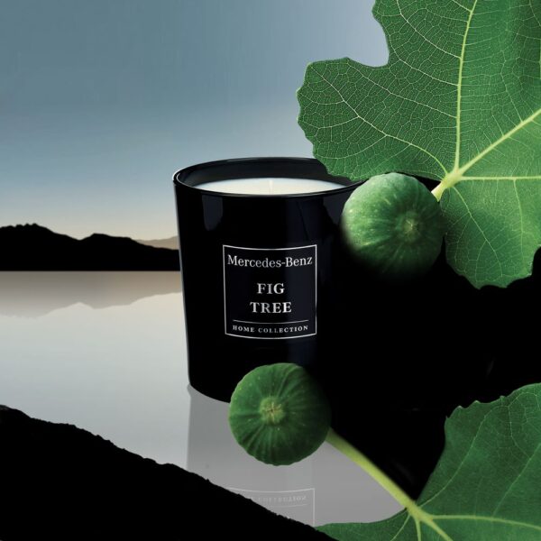 Mercedes-Benz Fig Tree candle مارسيدس شمعة معطرة