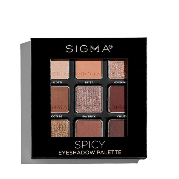 SIGMA SPICY EYESHADOW PALETTE سيجما روزي باليت ايشدو