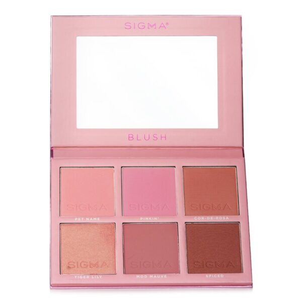 SIGMA BLUSH CHEEK PALETTE سيجما باليت بلاش