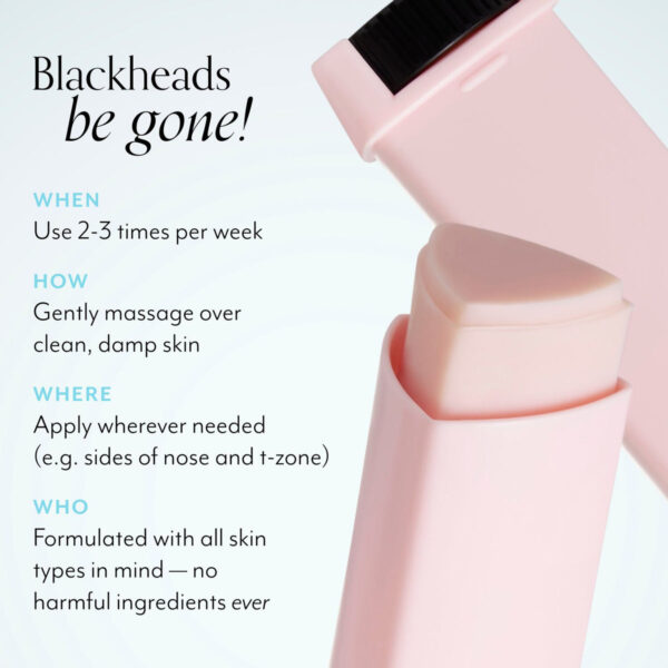 BLISS Blackhead Breakdown 15g بلز انهيار الرؤوس السوداء ستيك منقي