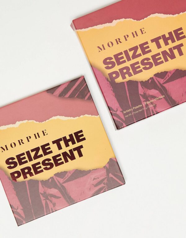 Morphe Seize The Present 9 Pan Artistry Palette مورفي باليت ايشدو