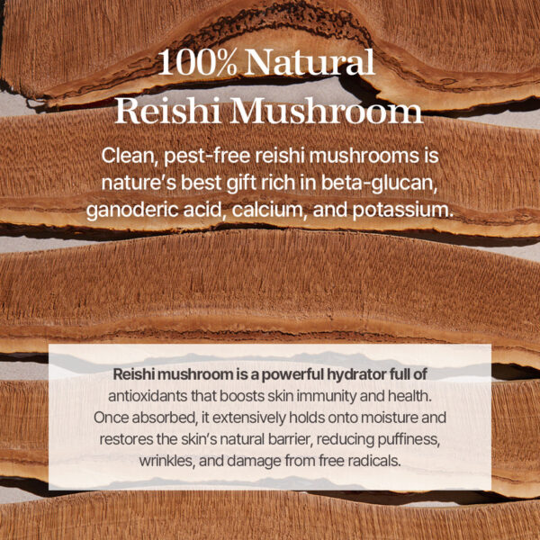 mixsoon Reishi Mushroom Essence 100ml ميكسسون خلاصة فطر الريشي