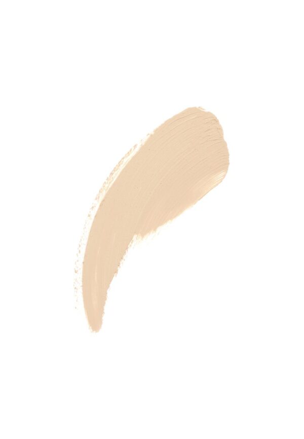 L'ORÉAL PARIS Infaillible 24H Concealer Pomade - 01 Light لوريال كونسيلر كريمي