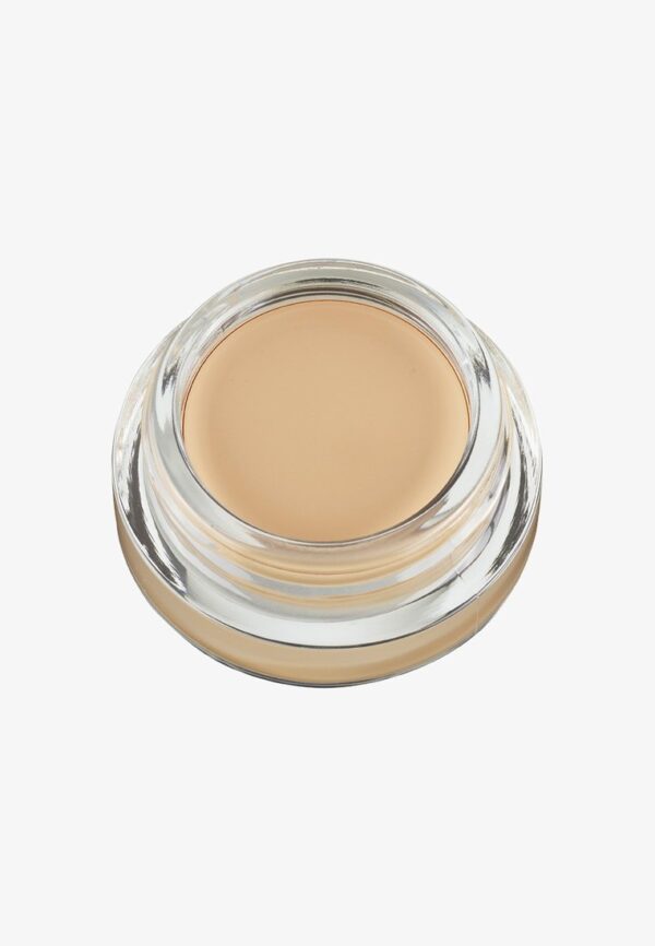 L'ORÉAL PARIS Infaillible 24H Concealer Pomade - 01 Light لوريال كونسيلر كريمي