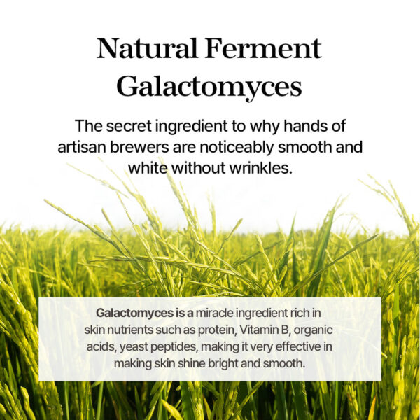 Mixsoon Galactomyces Ferment Essence 100ml ميكسسون أيسنس مرطب للبشرة