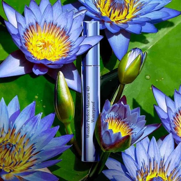 clarins Wonder Perfect Mascara 4D Waterproof كلارنس ووندر بيرفكت ماسكارا 4D مقاومة للماء