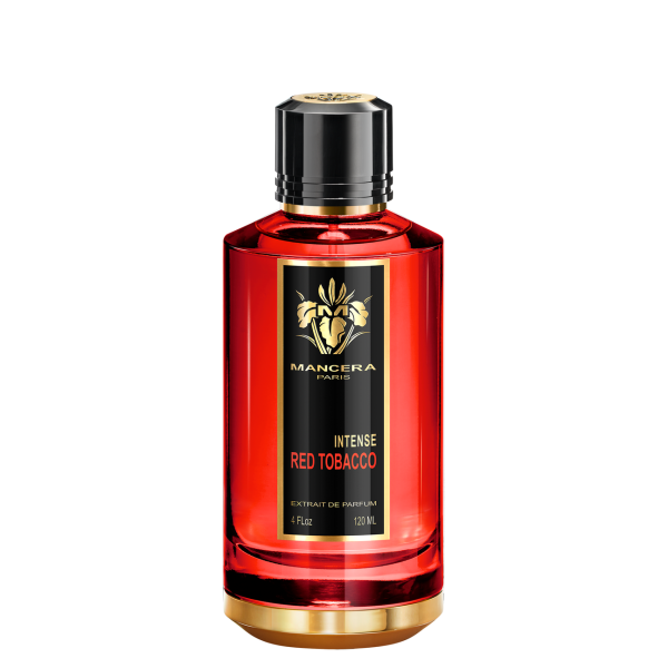 MANCERA Intense Red Tobacco 120ml مانسيرا عطر للرجال والنساء