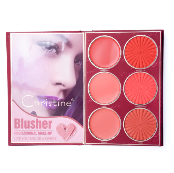 CHRISTINE PALETTE باليت كرستين المتكامل