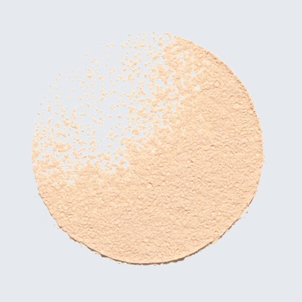 ESTÉE LAUDER Double Wear Sheer Flattery Loose Powder استي ارتداء مزدوج بودرة سائبة شفافة