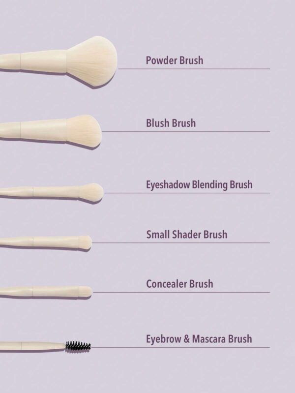 Sheglam Pro Core Brush Kit (6 pcs) مجموعة الفرش المتكاملة للوجه