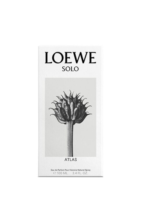 Solo Atlas Loewe for men لوي عطر للرجال