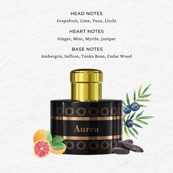 PANTHEON ROMA Aurea Extrait de Parfum 100 ml عطر للرجال والنساء