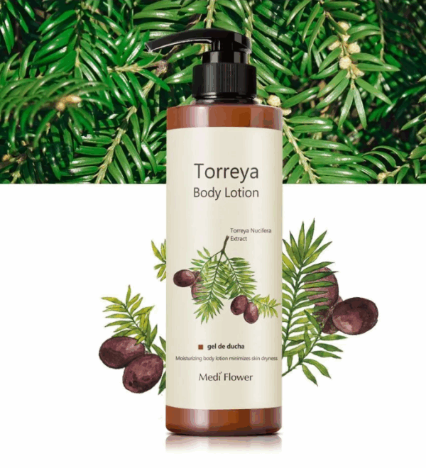 MEDIFLOWER Torreya Body Lotion 500ml لوشن مرطب للجسم - Image 3