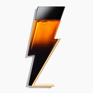 Bad Boy Elixir Carolina Herrera for men 100ml كارولينا هيريرا عطر للرجال