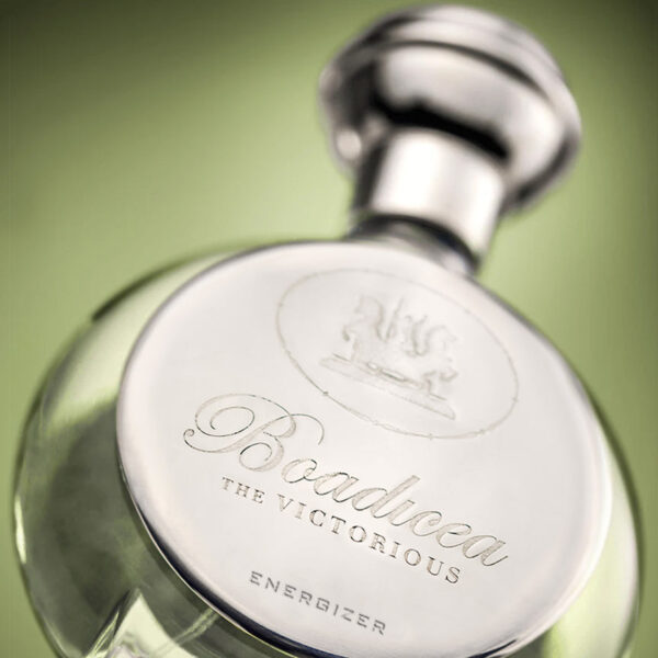 Energizer Boadicea the Victorious for women and men 100ml عطر للنساء والرجال - Image 5