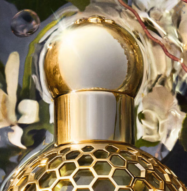 Aqua Allegoria Forte Nerolia Vetiver Guerlain for women and men 125ml عطر للنساء والرجال - Image 3