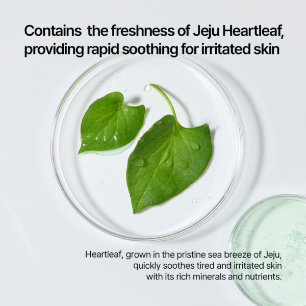 Parnell Panthenol 3.89 Heartleaf Calming Capsule Cream 50ml كريم تهدئة البشرة - Image 11