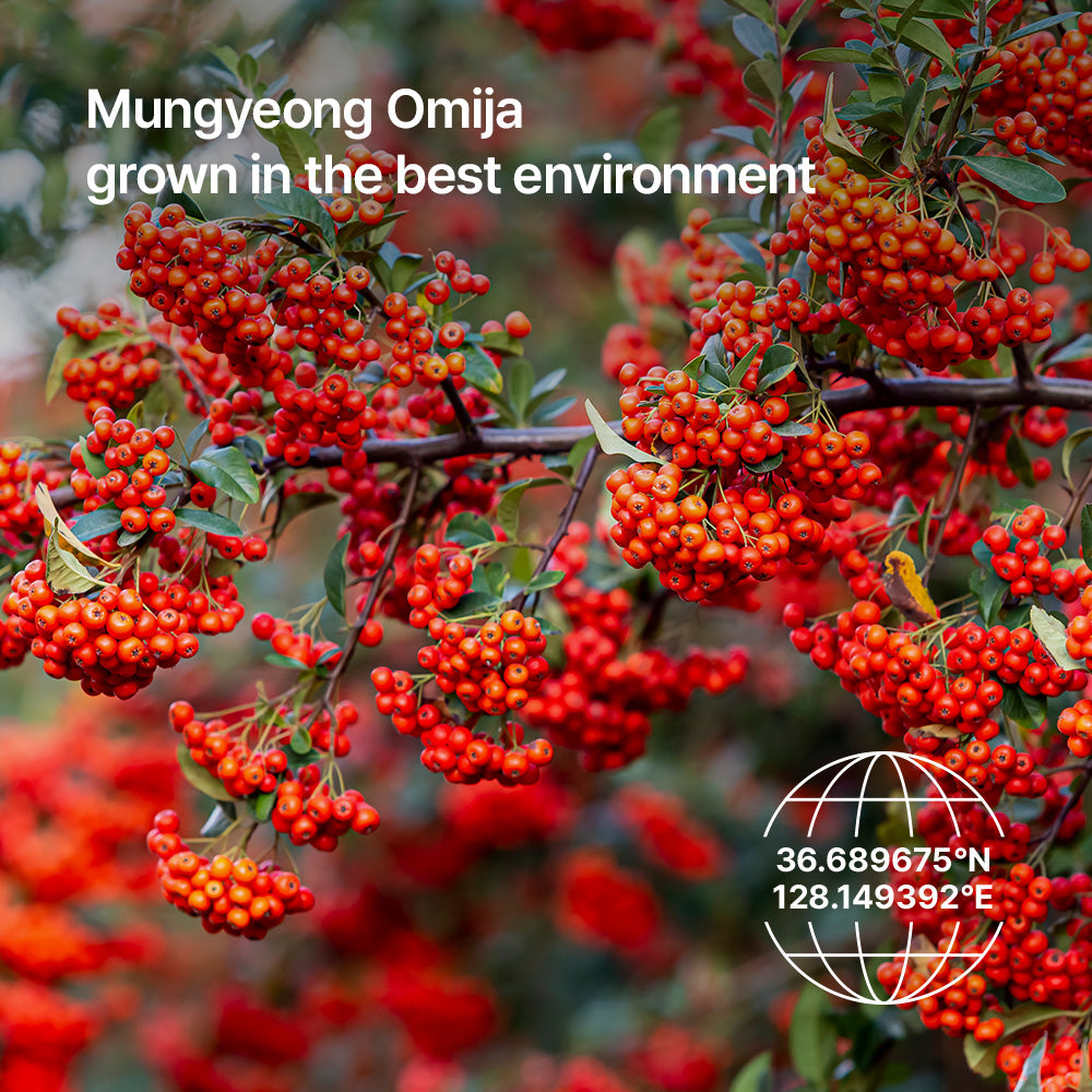 Parnell Aha Omija Ceramic Cleansing Oil غسول زيتي - Image 8