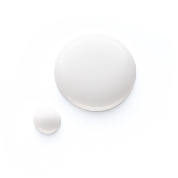 ESSENCE french MANICURE tip painterطلاء أبيض بفرشاة طويلة - Image 3