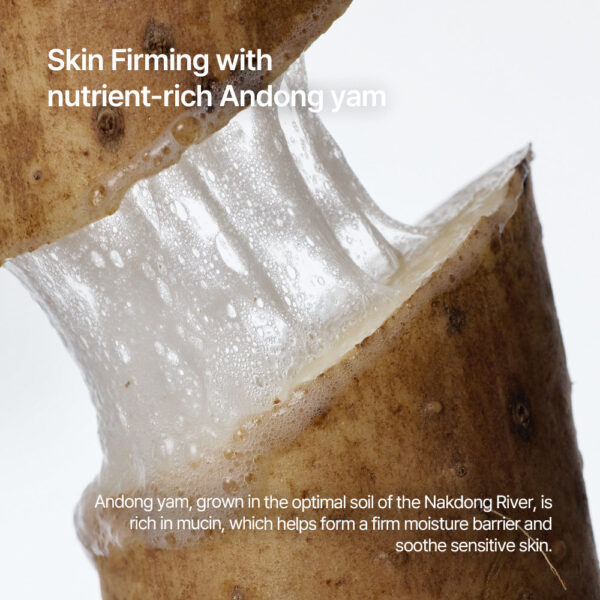 Parnell Parnell BAKUCHIOL RETINOL WILD YAM FIRMING EYE PATCH رقعة بارنيل لشدّ منطقة العين - Image 6