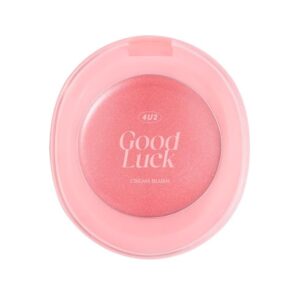 4u2 Compact Blush Stain أحمر الخدود المضغوط