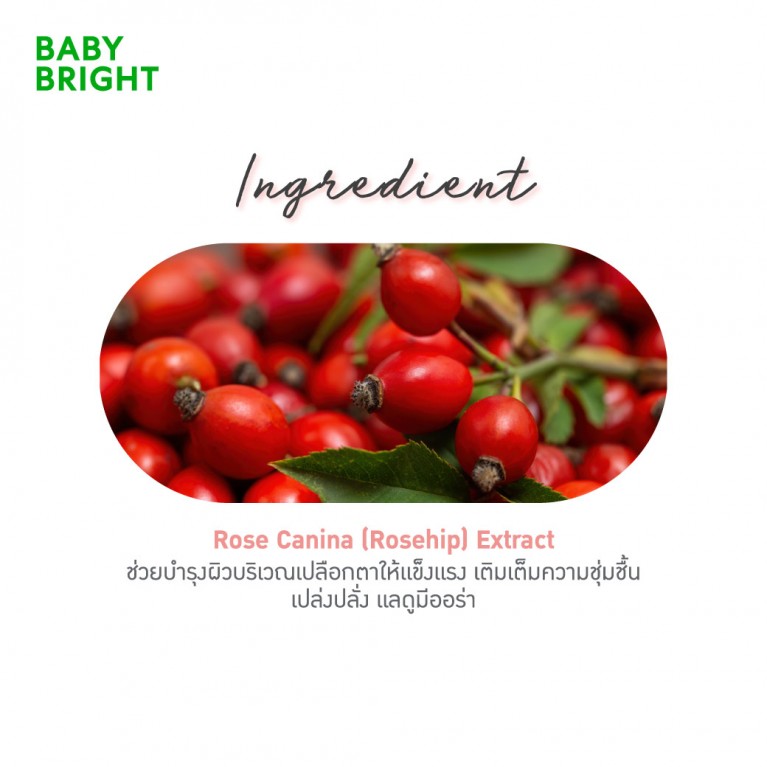 BABY BRIGHT ROSY ROSE EYELINER AND EYE LIGHTER 03 PEACH WEDDING كحل عيون وملمع بيبي برايت - Image 3