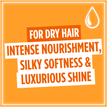 LOREAL PARIS Elvive EXTRAORDINARY OIL SHAMPOO FOR DRY HAIR 370ml شامبو زيت استثنائي للشعر الجاف - Image 2