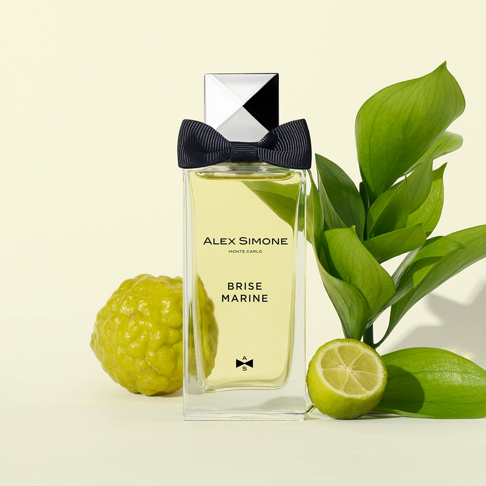 ALEX SIMONE BRISE MARINE EAU DE PARFUM 100ml ألكس سايمون عطر للرجال والنساء - Image 2