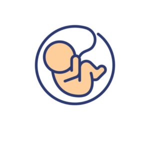 منتجات الحوامل