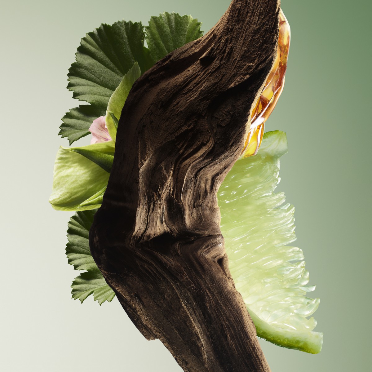 PRADA Paradigme Eau de Parfum 100ml برادا عطر شرقي للرجال - Image 3