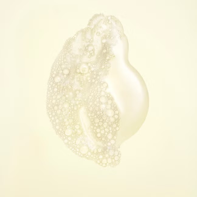 ORIBE Hair Alchemy Resilience Shampoo 250ml شامبو هير ألكيمي من أوريبي - Image 2