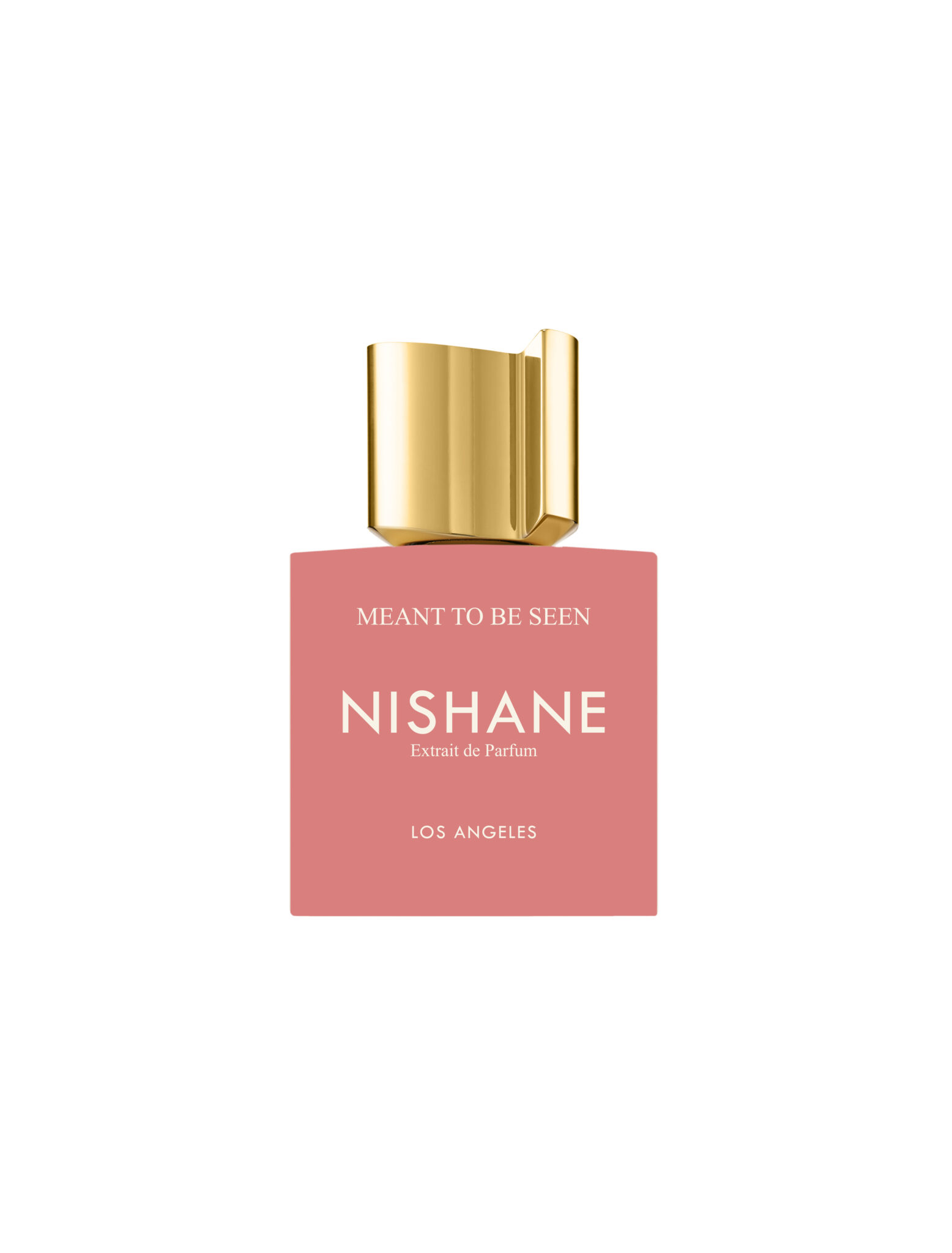 NISHANE Meant To Be Seen Extrait de Parfum 100ml نيشان عطر للرجال والنساء - Image 2