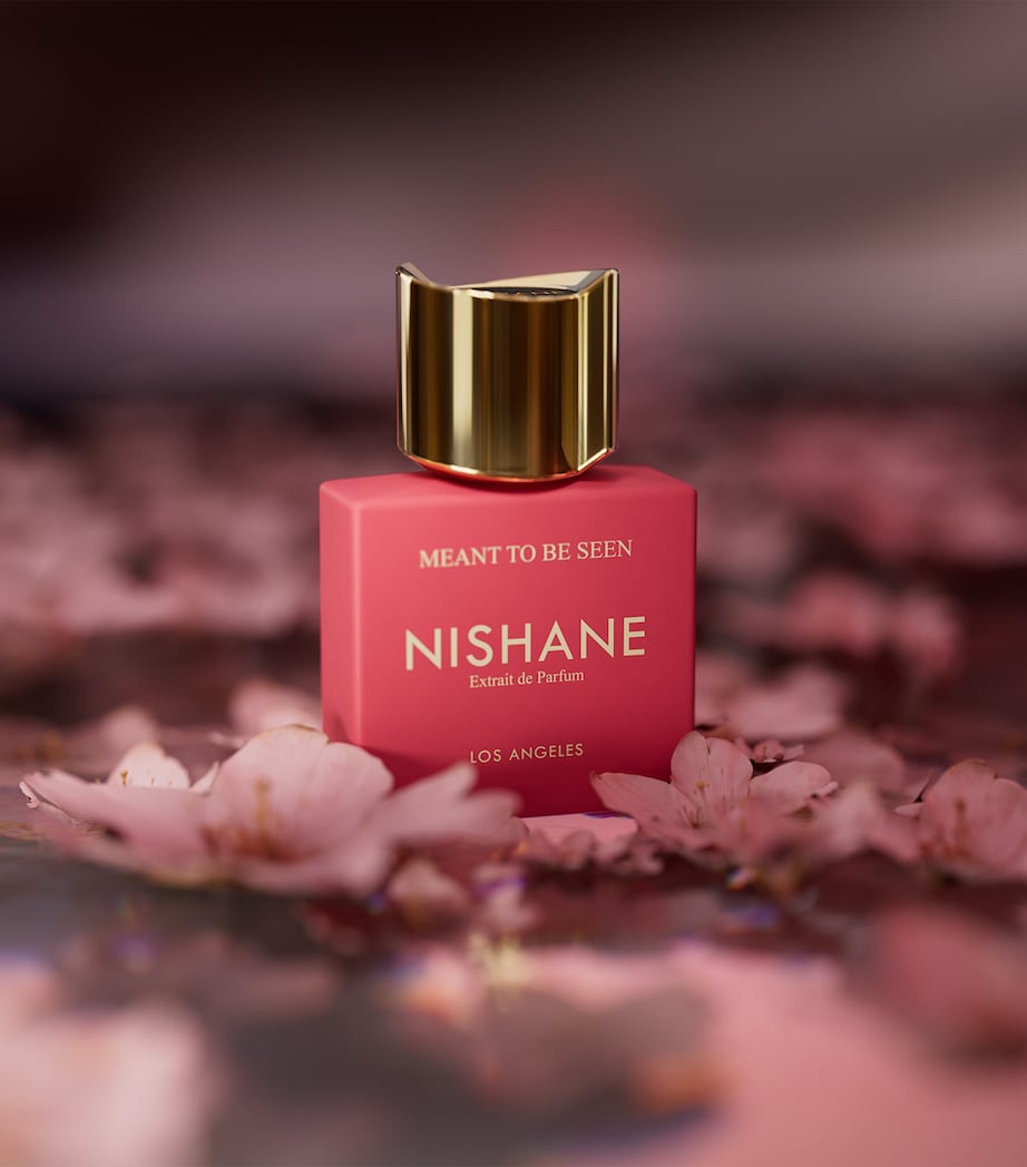 NISHANE Meant To Be Seen Extrait de Parfum 100ml نيشان عطر للرجال والنساء - Image 3