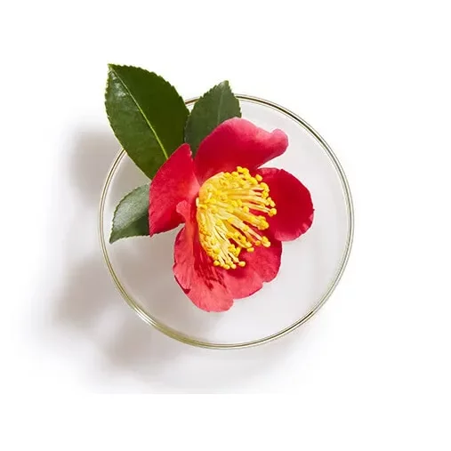 SHISEIDO TSUBAKI Premium Volume & Repair Camellia Hair Shampoo شامبو مكثف ومعالج من شيسيدو - Image 2