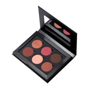 RADIANT Magnetic Eye Shadow Palette - 02 Sultry Eyes Led لوحة ضلال العيون من ريدينت