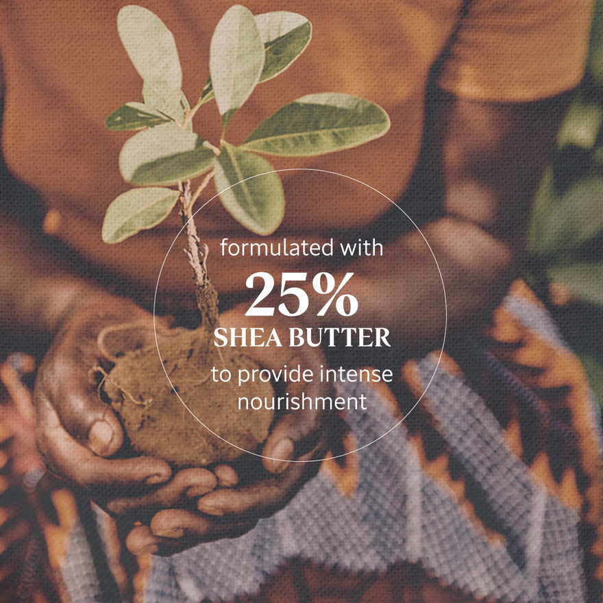 LOCCITANE Shea Intense Hand cream for Dry and Sensitive Skin 150ml مرطب اليدين للبشرة الجافه والحساسة - Image 2