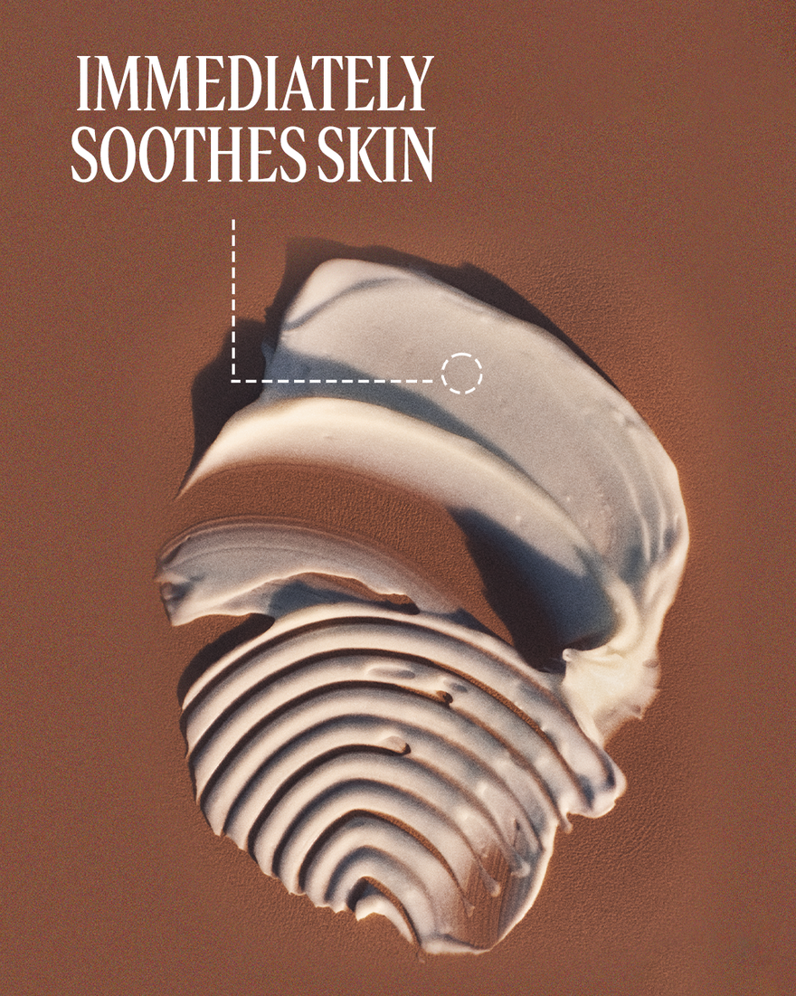 LOCCITANE Hand Creams Shea and Youth Duo سيت ثنائي لترطيب اليدين - Image 3