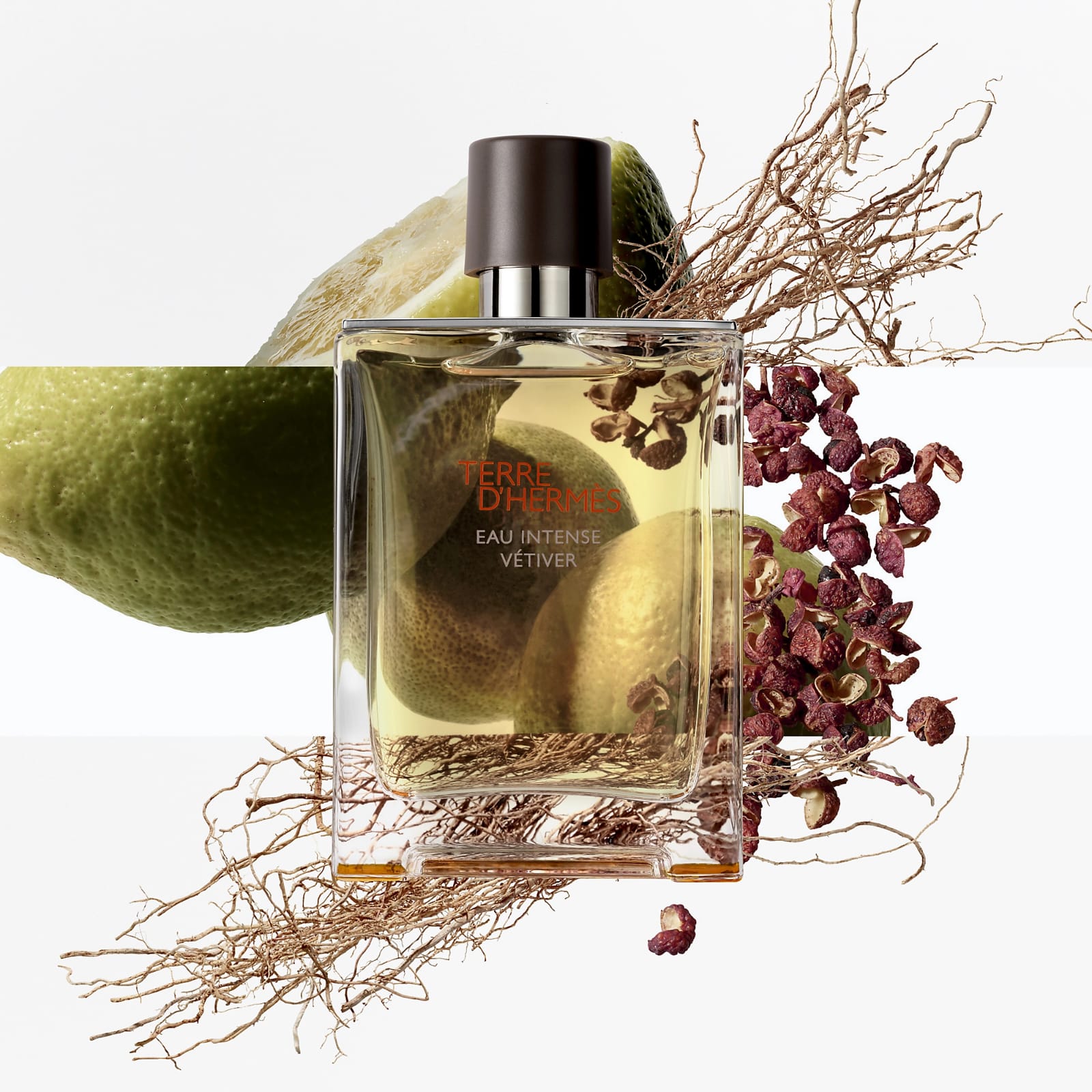 TERRE D'HERMES Eau Intense Vetiver Eau De Parfum 100ml عطر تيري هيرمس للرجال - Image 2