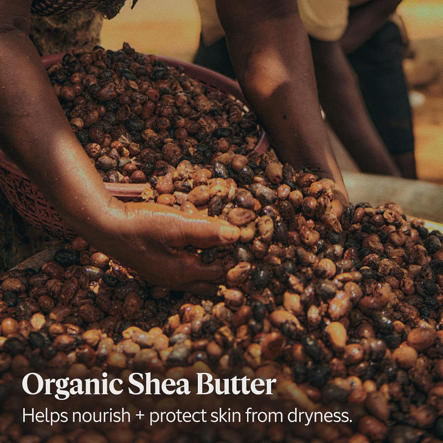 LOCCITANE Shea Light Comforting Face Cream 50ml مرطب الشيا اليلي للبشرة - Image 4