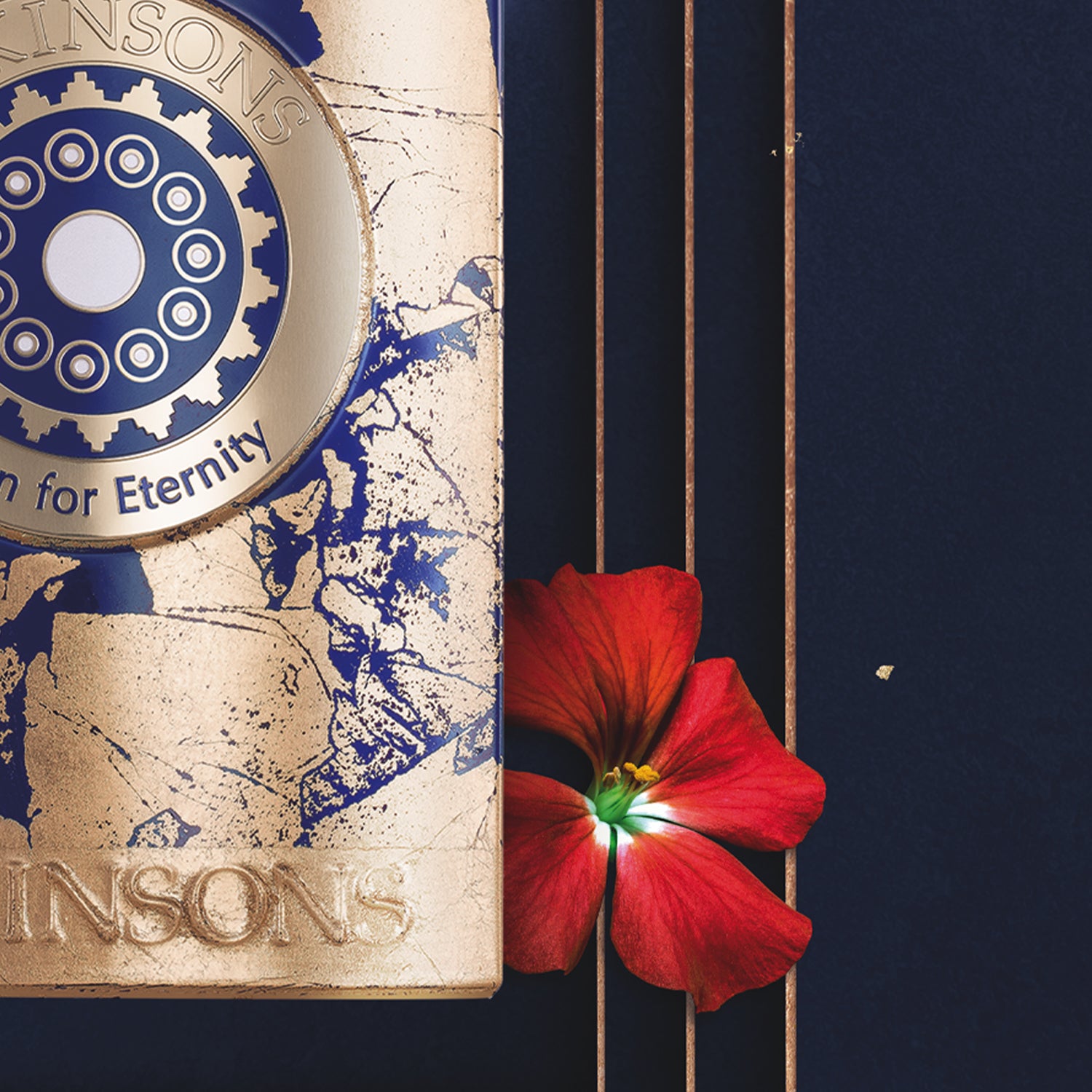 ATKINSOSNS BORN FOR ETERNITY PARFUM INTENSE 100ml عطر للرجال والنساء - Image 4