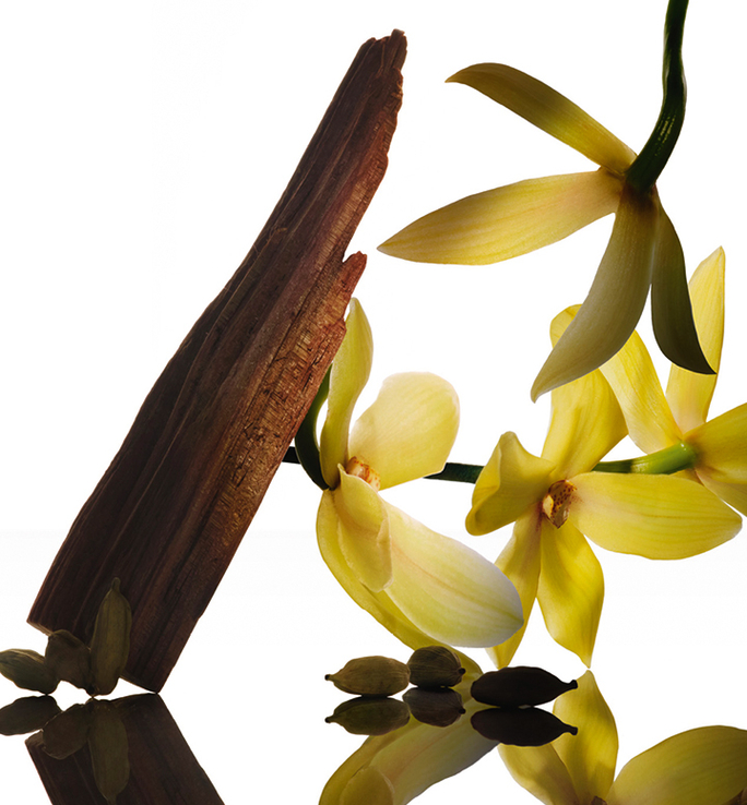 NARCISO RODRIGUEZ Santal Musc Eau De Parfum Intense Unisex 100ml عطر نارسيسو للرجال و النساء - Image 2