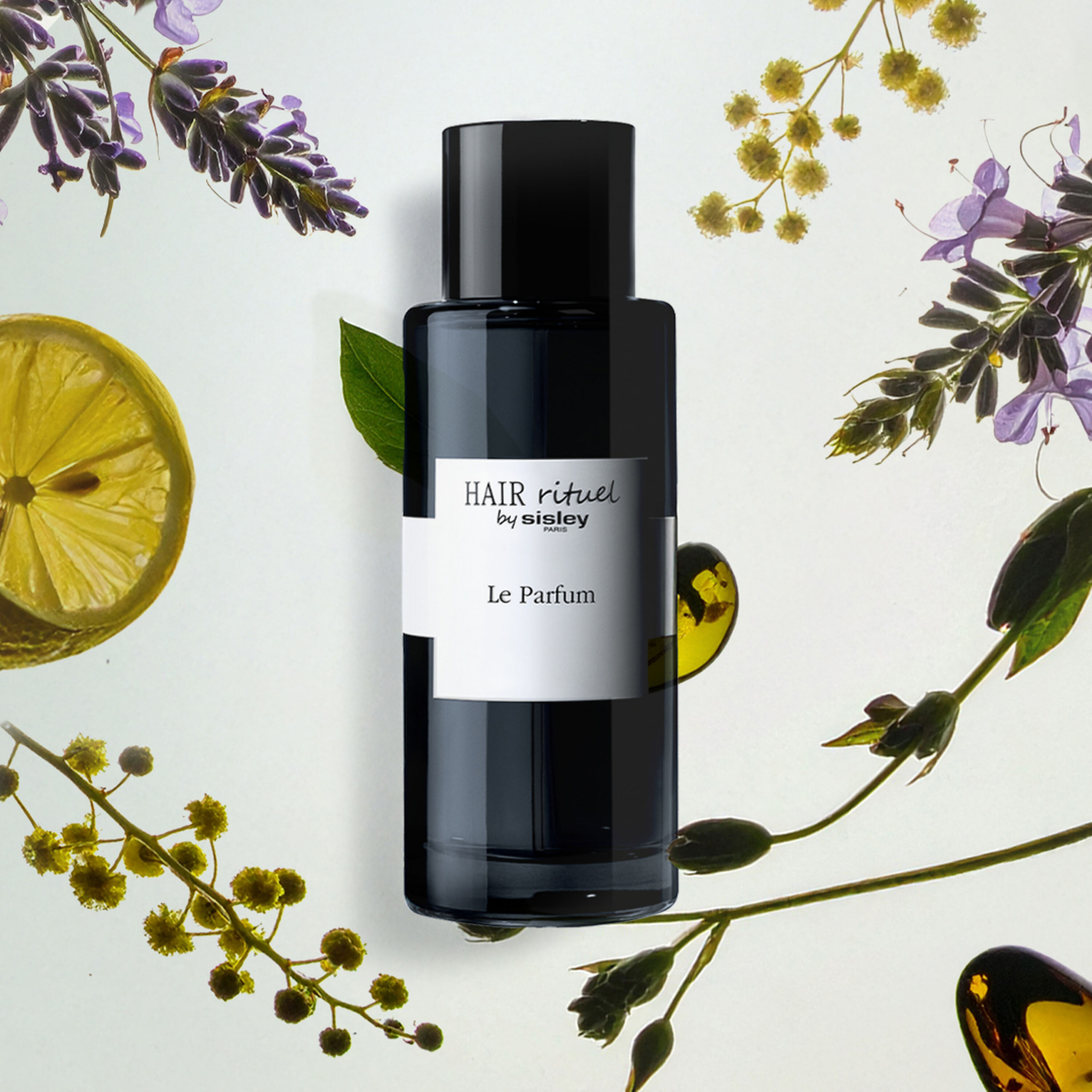 SISLEY PARIS Hair Rituel Le Parfum for unisex 100ml سيسلي عطر للشعر والجسم للرجال والنساء - Image 2