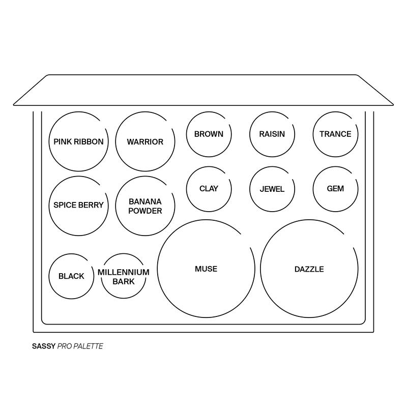 OFRA COSMETICS PRO PALETTE - SASSY أوفرا باليت ميكاب متكامل للبشرة - Image 4