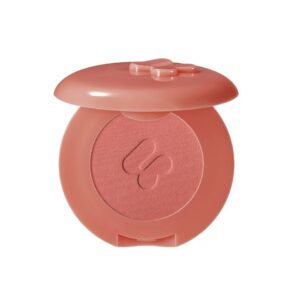4U2 MATTE BLUSH فور يو تو احمر خدود مخملي