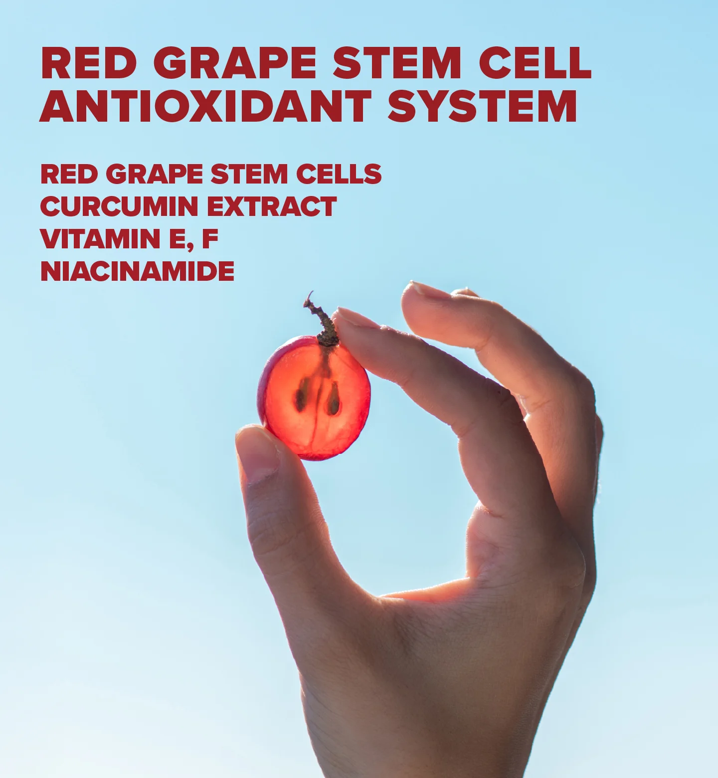 KORRES Red Grape Sheer Glow Daily Sunscreen Face Cream SPF50 50ml كوريس كريم واقي شمس موحد للون البشرة ومكافح لعلامات الشيخوخة - Image 4